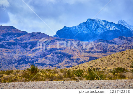 Rugged Nevada Desert Landscape with Snow-Capped Mountains Eye Level View 125742258