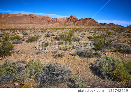 Rugged Nevada Desert with Mountain Range under Blue Sky Eye Level Perspective 125742429