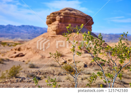 Desert Creosote Bush with Majestic Rock Formation Eye-Level View Desert Creosote Bush with Majestic Rock Formation Eye-Level View 125742580