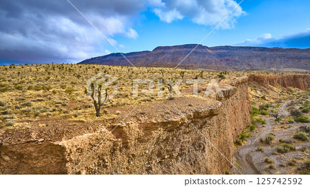 Aerial of Red Rock Canyon Plateau and Joshua Trees Aerial of Red Rock Canyon Plateau and Joshua Trees 125742592