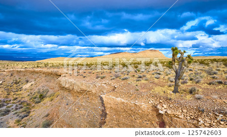 Aerial of Joshua Tree Amidst Desert Storm in Red Rock Canyon 125742603