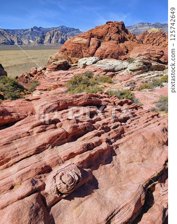 Red Rock Canyon Sandstone Eye Layers with Rugged Mountains Aerial 125742649