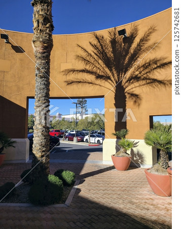 Palm Tree in Desert Urban Scene with Parking Lot View Eye-Level Perspective 125742681