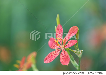 等到薩沙 等到薩沙 125742982