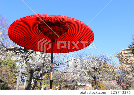 Mukojima Hyakuen 125743375