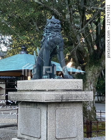 Guardian lion statues at Oyama Shrine (Kanazawa City, Ishikawa Prefecture) 125743381