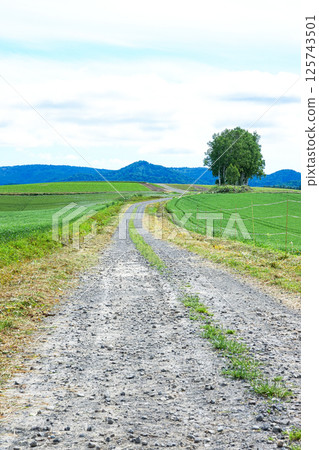 北海道美瑛的碎石農路風景 北海道美瑛的碎石農路風景 125743501