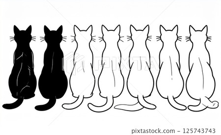 Cat Cat 125743743