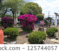 Enjoy the season 125744057