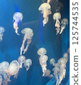Jellyfish are soothing to look at as they swim leisurely 125744535