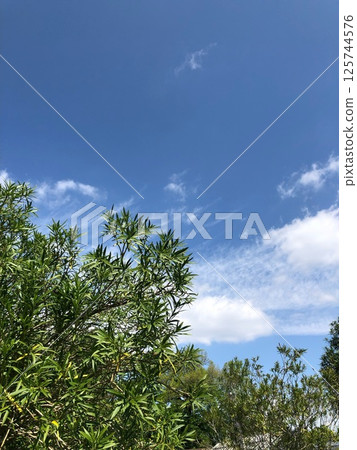 藍天和雲彩 藍天和雲彩 125744576