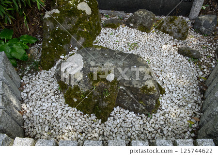 奈良縣吉野山吉水神社、弁慶的強力釘子 125744622