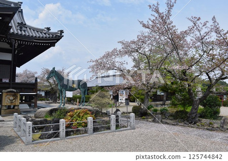 Asuka Tachibana-dera Temple, birthplace of Prince Shotoku Asuka Tachibana-dera Temple, birthplace of Prince Shotoku 125744842