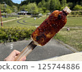 Sakute Handmade Village Gohei Mochi 125744886