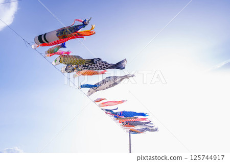    鯉魚旗 125744917