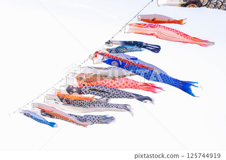 鯉魚旗 鯉魚旗 125744919