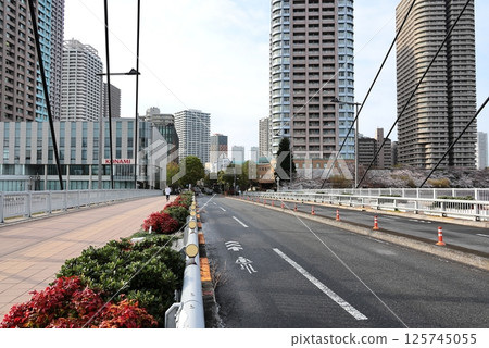 Tokyo cityscape Tsukudajima Chuo Ohashi Bridge 125745055
