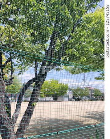 Landscape with green 125745158