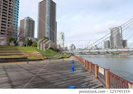 東京城市景觀隅田川和城市景觀石川島公園 125745354