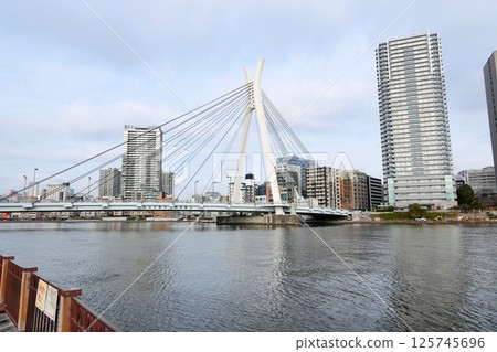 Tokyo cityscape Sumida River and townscape Ishikawajima Park Tokyo cityscape Sumida River and townscape Ishikawajima Park 125745696
