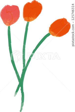 Hand-drawn illustration of three red tulips 125746314