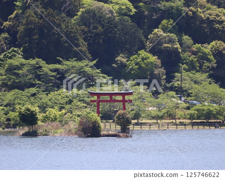 Torii gate at Kameyama Dam 125746622