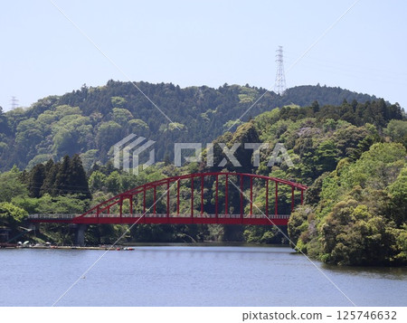 Turtle Lake and Bridge 125746632