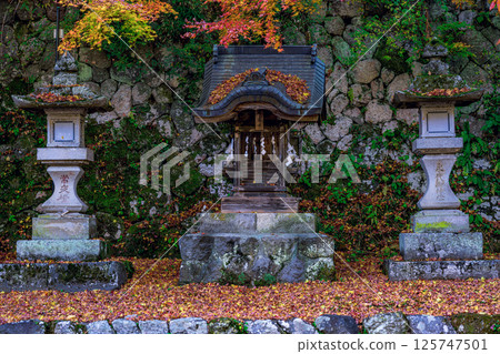 落葉覆蓋的神社和燈籠的秋季風景 125747501