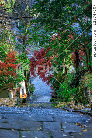 被紅葉包圍的靜謐神社之路－旅行的回憶 125747507
