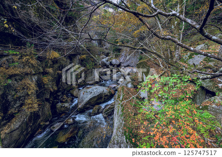 Shosenkyo Gorge in late autumn: Clear water flowing through the valley and spectacular rock formations Shosenkyo Gorge in late autumn: Clear water flowing through the valley and spectacular rock formations 125747517