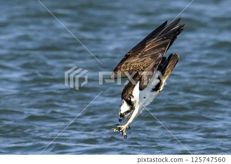Osprego航班 Osprego航班 125747560