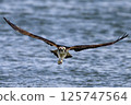 Osprego flight 125747564