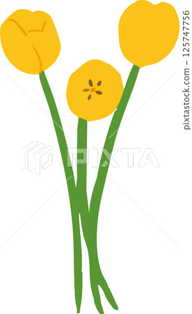 Simple illustration of three yellow tulips 125747756