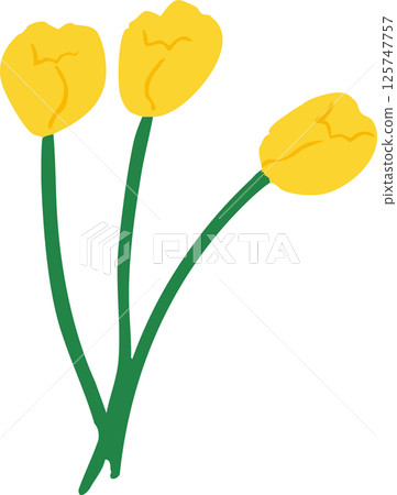 Simple illustration of three yellow tulips 125747757