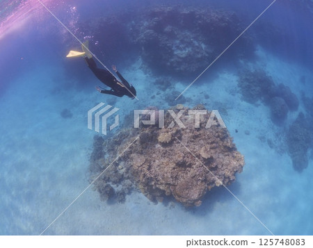 一位女士在石垣島的藍色海水中享受浮潛 125748083