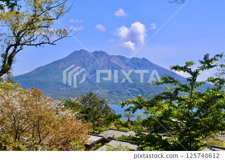 仙岩園和櫻島（鹿兒島縣鹿兒島市） 125748612