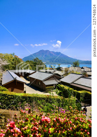 仙岩園和櫻島（鹿兒島縣鹿兒島市） 125748614