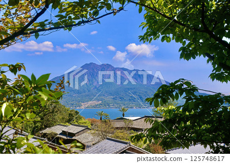 仙岩園和櫻島（鹿兒島縣鹿兒島市） 125748617