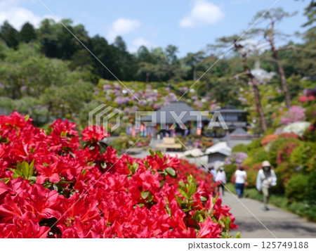 Shiofune Kannonji Temple, a famous spot for azaleas 125749188