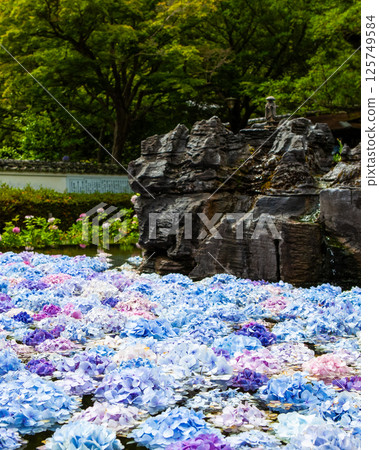 寬永寺的假山庭園和池塘裡的九頭蛇(垂直構圖) 寬永寺的假山庭園和池塘裡的九頭蛇(垂直構圖) 125749584
