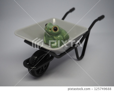 Frog riding a cat car Frog riding a cat car 125749688