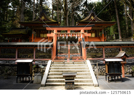 World Heritage Mount Koya, Danjo Garan, Shrine, Wakayama Prefecture 125750615
