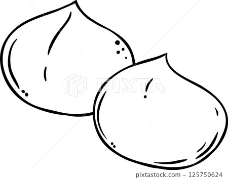 Macadamia Nuts  Colored Detailed Illustration. 125750624