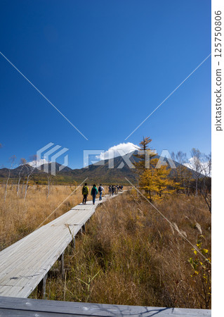 Senjogahara的樹路 125750806