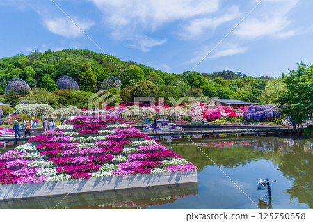 足利花卉公園的新鮮綠意 125750858