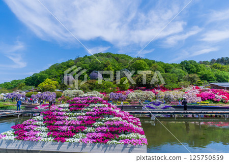 Fresh greenery at Ashikaga Flower Park Fresh greenery at Ashikaga Flower Park 125750859