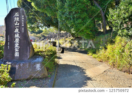 The ruins of the ruined "Ishigakiyama Ichiyajo Historical Park" built by Toyotomi Hideyoshi during the attack on Odawara Castle 125750972