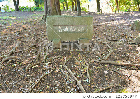 The ruins of the ruined "Ishigakiyama Ichiyajo Historical Park" built by Toyotomi Hideyoshi during the attack on Odawara Castle The ruins of the ruined "Ishigakiyama Ichiyajo Historical Park" built by Toyotomi Hideyoshi during the attack on Odawara Castle 125750977