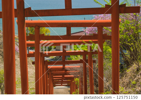 View of Amanohashidate from another viewpoint. View of Amanohashidate from another viewpoint. 125751150