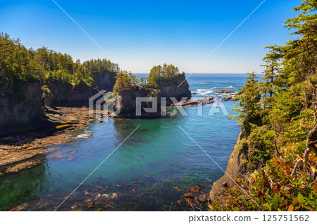 Coastal cliffs and rocky shoreline at Cape Flattery, Washington State 125751562